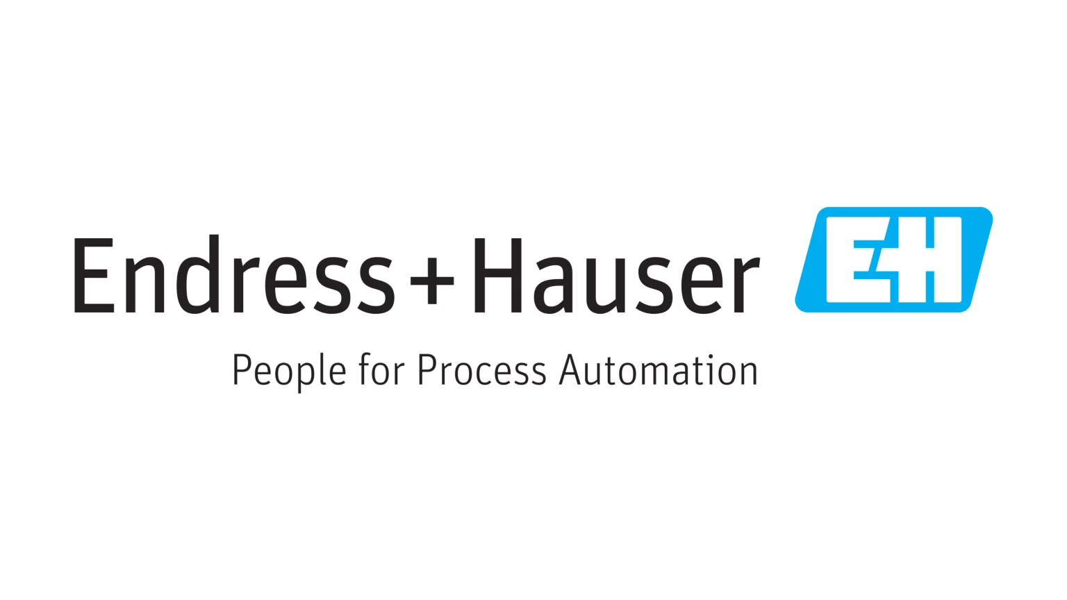 endress+hauser